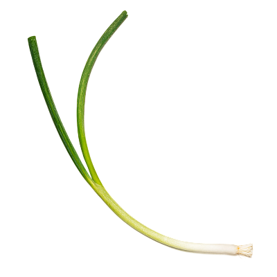 Two scallions crossed over each other, on a white background.