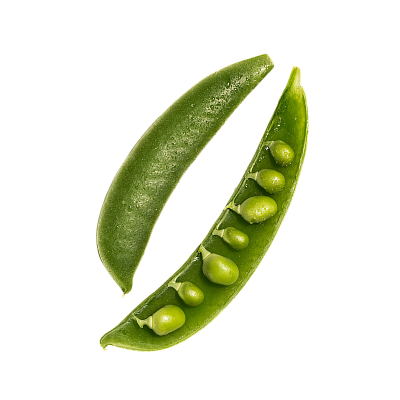 A sugar snap pea pod, one half opened to show the peas inside, on a white background.