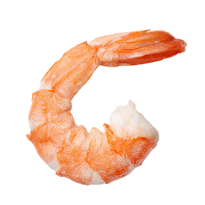 A single peeled shrimp prawn shown in a curved shape