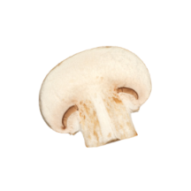 A sliced white mushroom, on a transparent background.