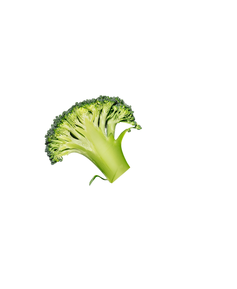 A broccoli floret, on a transparent background.