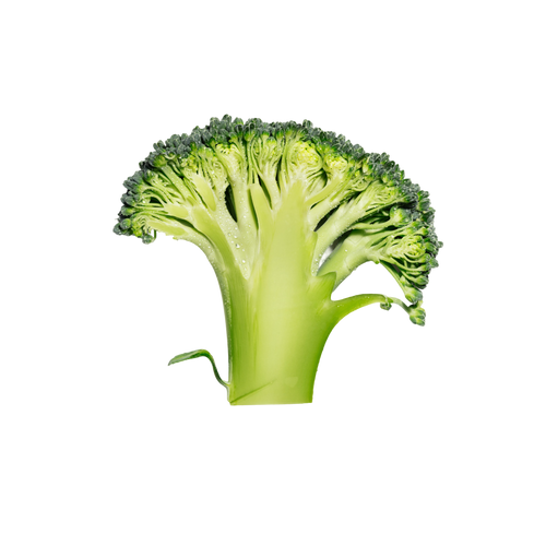 A broccoli floret, on a transparent background.