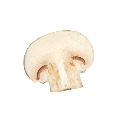 A sliced white mushroom on a white background.